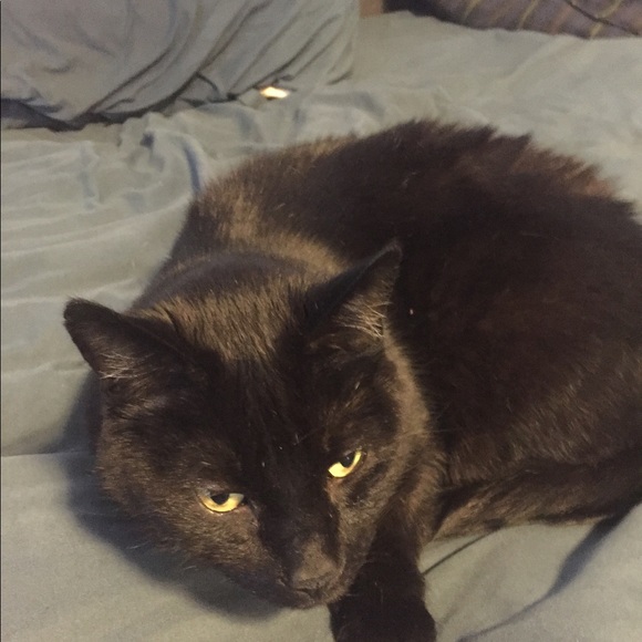 Meet your Posher, Jim - Picture 1 of 1